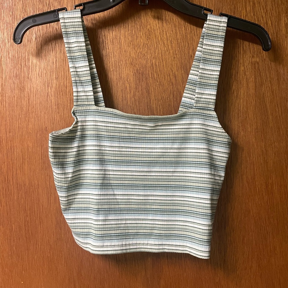 American Eagle Outfitters Blue and White Striped Crop Top